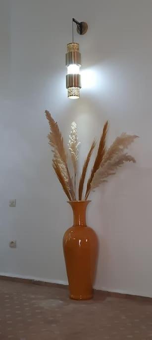 Riad Cosy มาร์ราเกช ภายนอก รูปภาพ